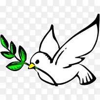 鸽子象征和平象征剪贴画白鸽