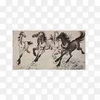 画马中央美术学院毕业
