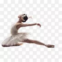 芭蕾舞蹈家皇家舞蹈教师学会现代舞蹈-芭蕾