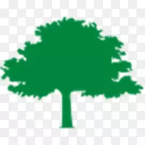树木基金组织资助城市林业-修剪树木