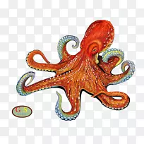 多芙妮肠章鱼绘画马赛克章鱼