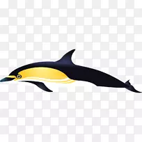 短喙普通海豚普通宽吻海豚白色喙海豚图库溪舟叶