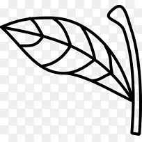 植物茎叶剪贴画.茎载体