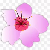 紫丁香花卉设计植物.沙花载体
