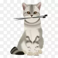 波斯猫编织针头小猫剪贴画-大猫