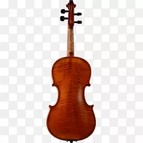 大提琴，弓弦乐器，低音-美丽的小提琴