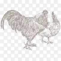 鸡禽养殖，公鸡屠夫-家禽和牲畜