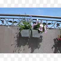 围墙、栅栏、植物、阳台、物业-爬行器挂在路花上