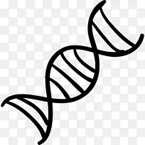 双螺旋：dna核酸结构的个人发现双螺旋计算机图标遗传学dna载体