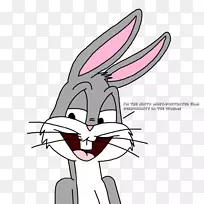 兔卡通画兔小兔