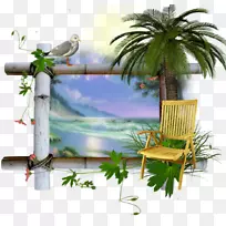 教程网页浏览器博客-海滩元素