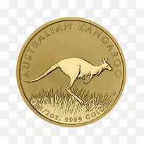 金币克鲁格朗银澳大利亚袋鼠