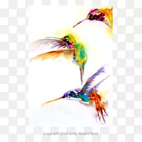 蜂鸟喙艺术猫水彩画仙人掌收藏