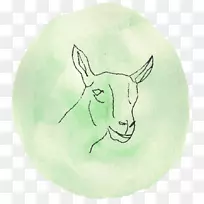 牛山羊兔画食物-摩羯座