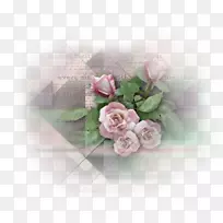 切花，花园，玫瑰，花卉设计，百叶玫瑰-东方明珠