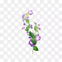 花薰衣草紫丁香花卉设计.彩绘花卉材料