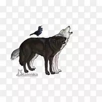 西伯利亚哈士奇血狼狗动物犬品种-银雾