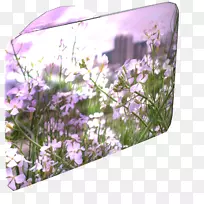 英国薰衣草紫罗兰紫-初夏