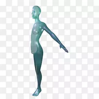 提尔·绿松石人体模型-穿过冷水珠的心脏