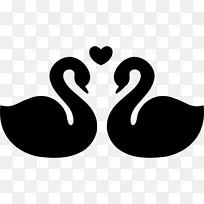 黑天鹅电脑图标剪辑艺术爱情天鹅
