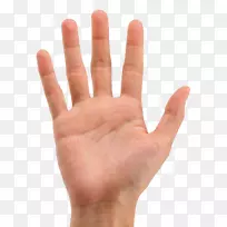 手指头数字线-毛