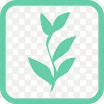 乔木植物修剪麦囊藻枝-红树林根茎
