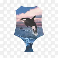 虎鲸毛毯海豚鲸目动物浮出水面行为.鲸鱼水彩