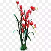 切花谷歌图片花卉设计-红色兰花