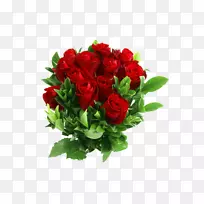 玫瑰剪贴画-红色菊花