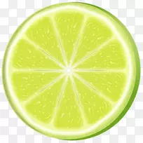 柠檬加州关键酸橙橘子-柠檬片