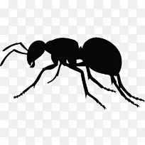 蚂蚁版税-免费剪贴画-蚂蚁