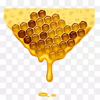 蜜蜂蜂巢-蜜蜂载体