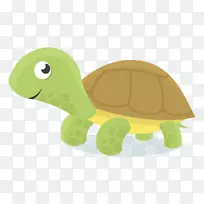 海龟绘画-婴儿玩具