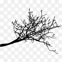 树枝，木本植物-黑白花，树枝装饰背槽