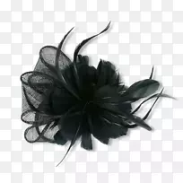 服装配件、帽子、时尚头巾.黑色羽毛