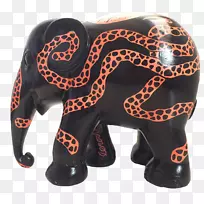 印度象手绘动物