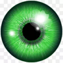 眼睛彩色电脑图标剪贴画瞳孔