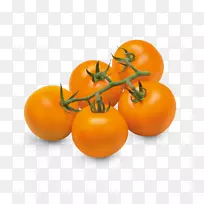 樱桃番茄传家宝番茄蔬菜橙品种樱桃番茄