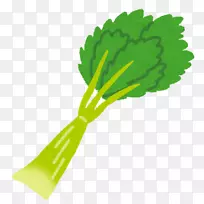 芹菜食品蔬菜膳食纤维β-胡萝卜素芹菜