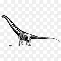 晚白垩世恐龙圆锥-吐鲁尼亚-重建