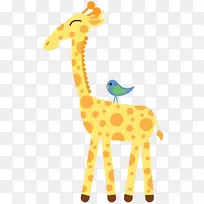 长颈鹿，可爱的，婴儿-长颈鹿