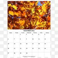 历0秋分-11月历