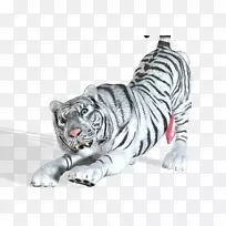 猫虎电脑图标野生动物白虎