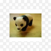 大熊猫熊食肉动物&可爱的玩具-熊猫宝宝