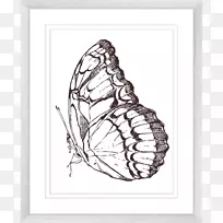 蝴蝶视觉艺术创新室内画美印刷