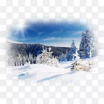 桌面壁纸冬季雪-自然景观