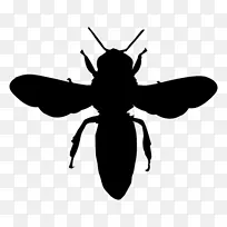 欧洲黑蜂剪影蜜蜂大黄蜂-蜜蜂载体