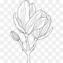 画成星状的花鹿角