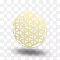 重叠圆网格符号神圣几何学三维花