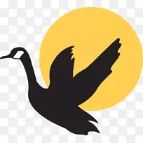 鹅鸭鸟-小黄鸭